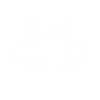 Vision